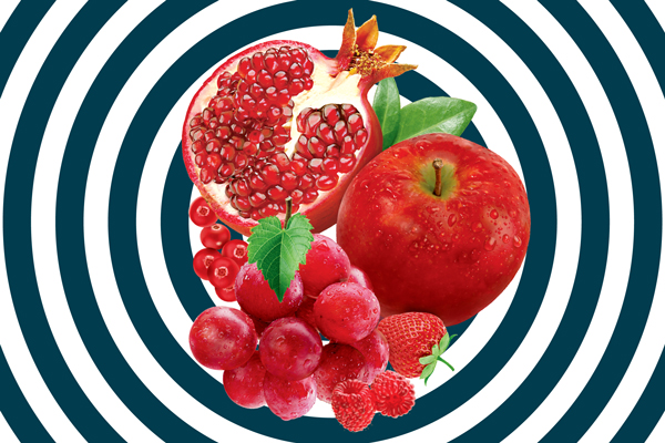 DİMES Premium 100% Red Mix Fruits