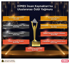 DİMES İnsan Kaynakları Projelerine  Uluslararası Ödül Yağmuru