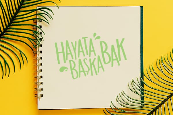 DİMES Kayısı Nektarı