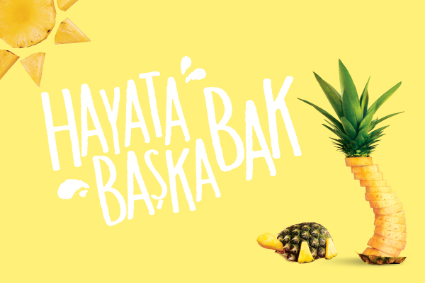 Ananas Suyu